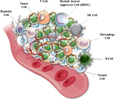 Dual effects of radiotherapy on tumor microenvironment and its contribution towards the development of resistance to immunotherapy in gastrointestinal and thoracic cancers